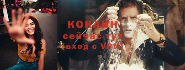 индика Абаза