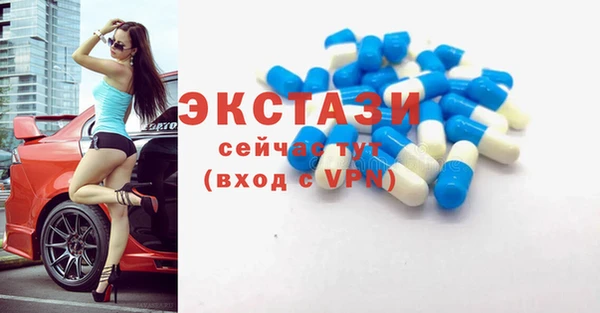 индика Абаза