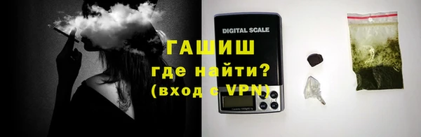 индика Абаза