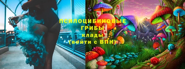 индика Абаза