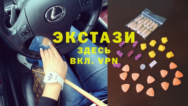 индика Абаза