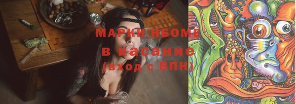 индика Абаза