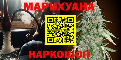Альфа ПВП Канаш