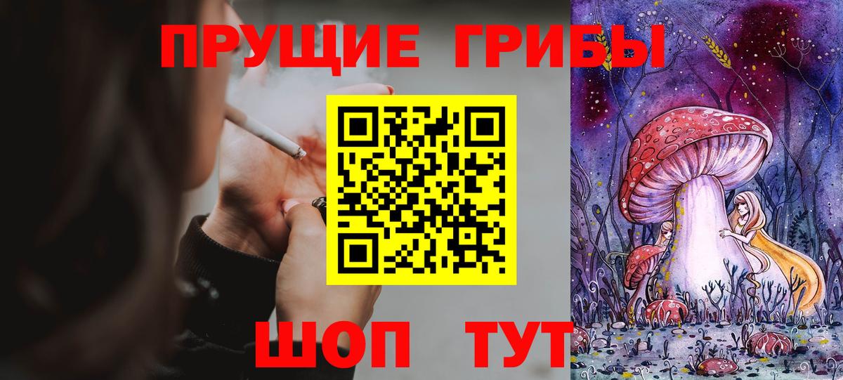 Комсомольск-на-Амуре  Галлюциногенные грибы Psilocybe  Вход с VPN  Псилоцибиновые грибы мухоморы 